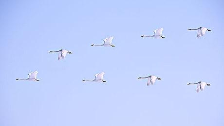 RPG要素来咯《街头霸王6》环球游历模式预告